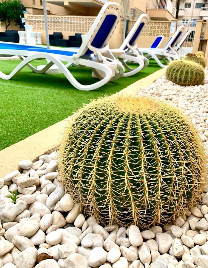 Apartamentos Las Palmeras Palmanova Exterior foto